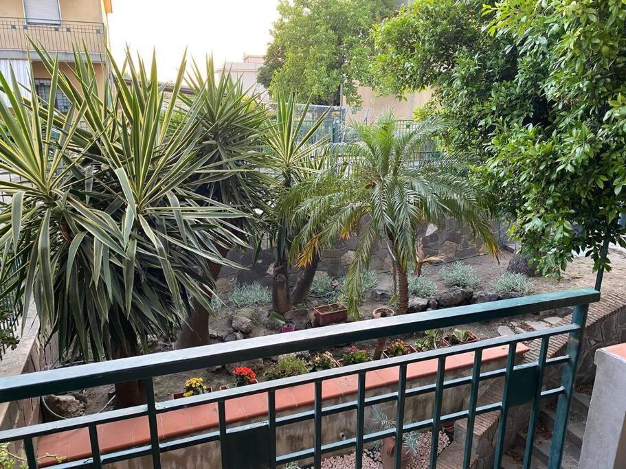 Casa Vacanze Parco Dei Fiori Villa Scafati Ngoại thất bức ảnh